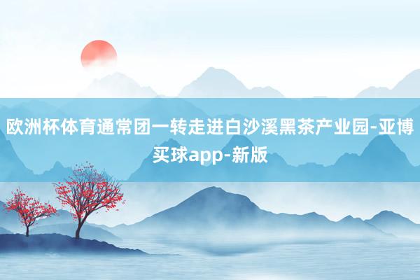 欧洲杯体育通常团一转走进白沙溪黑茶产业园-亚博买球app-新版