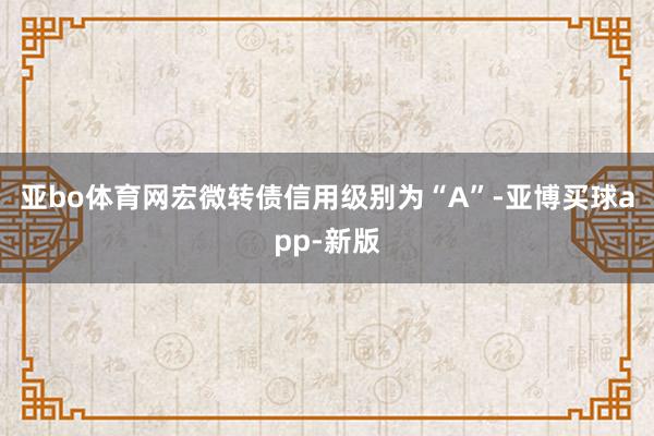 亚bo体育网宏微转债信用级别为“A”-亚博买球app-新版